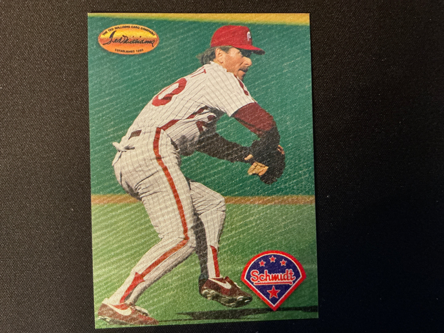 Tarjeta de Mike Schmidt/Quién es Quién de Ted Williams #MS5 de 1994