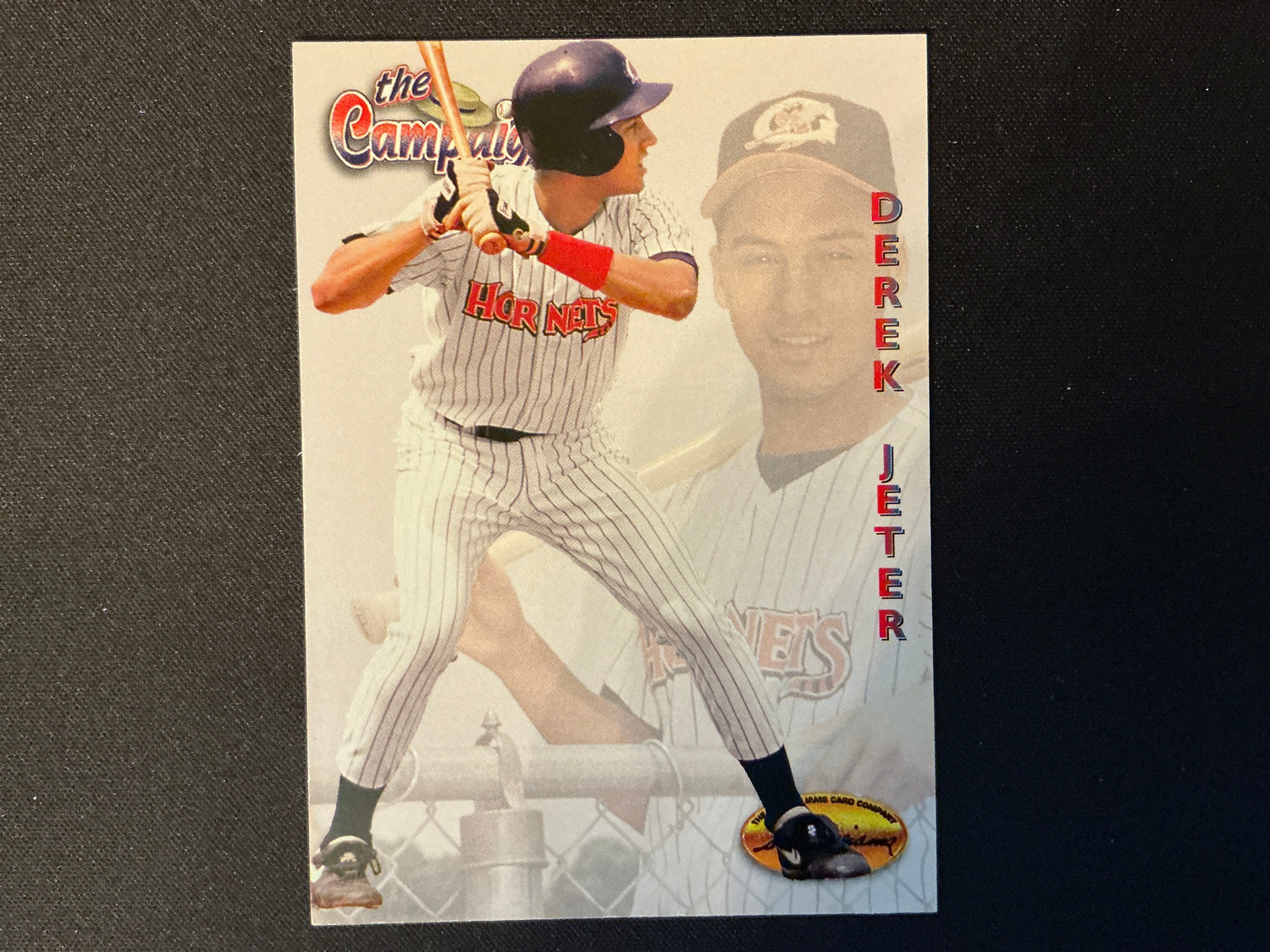 1994 Ted Williams Baseball