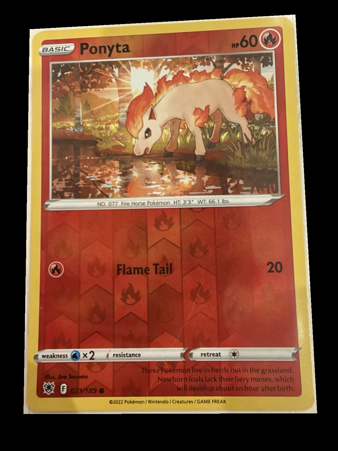 Ponyta 021/189 front — actual card