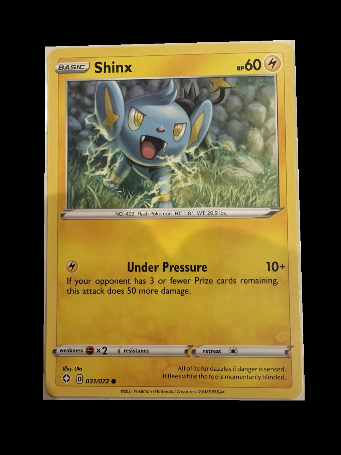 Shinx 031/072 Shining Fates Non-Holo front — actual card